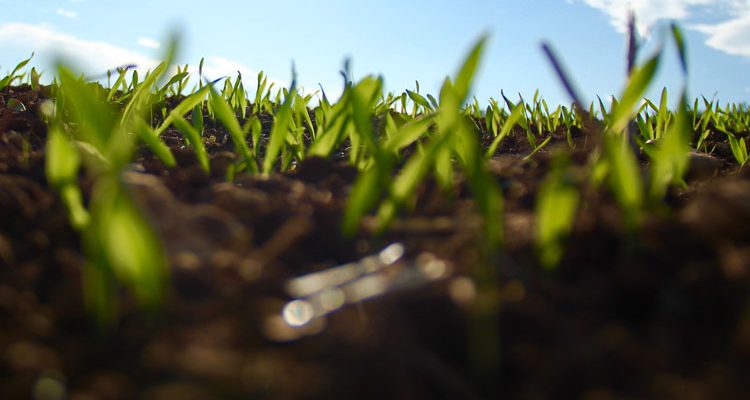 causes-environment-featured-pic2